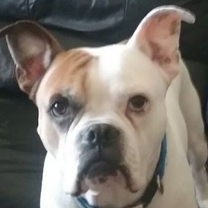 Meet your Posher, Brittany